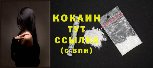 крисы Сатка