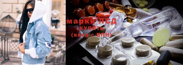 крисы Сатка